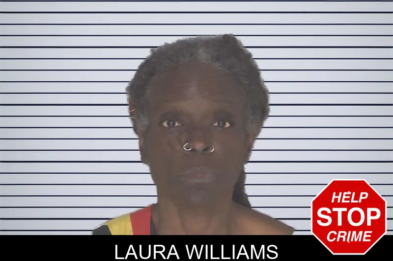 Laura Williams mugshot