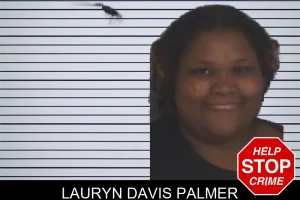 Lauryn Davis Palmer mugshot