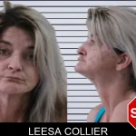 Leesa Collier mugshot – Houston County , Georgia Leesa Collier mugshot