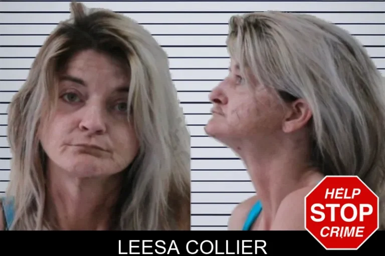 Leesa Collier mugshot – Houston County , Georgia Leesa Collier