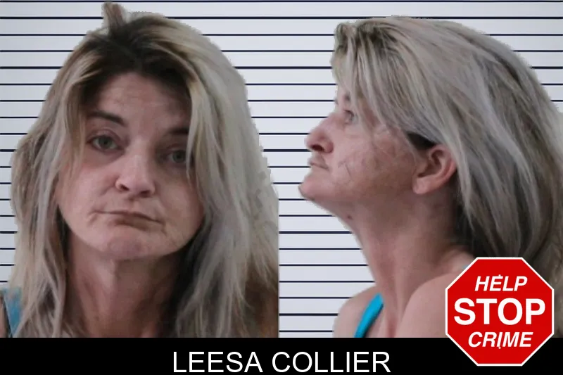 Leesa Collier mugshot – Houston County , Georgia Leesa Collier mugshot