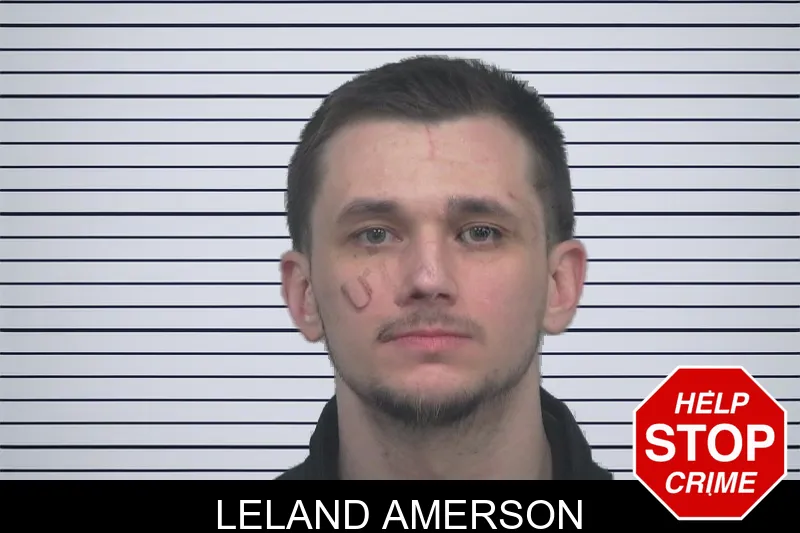 Leland Amerson mugshot