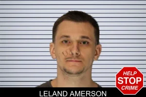 Leland Amerson mugshot