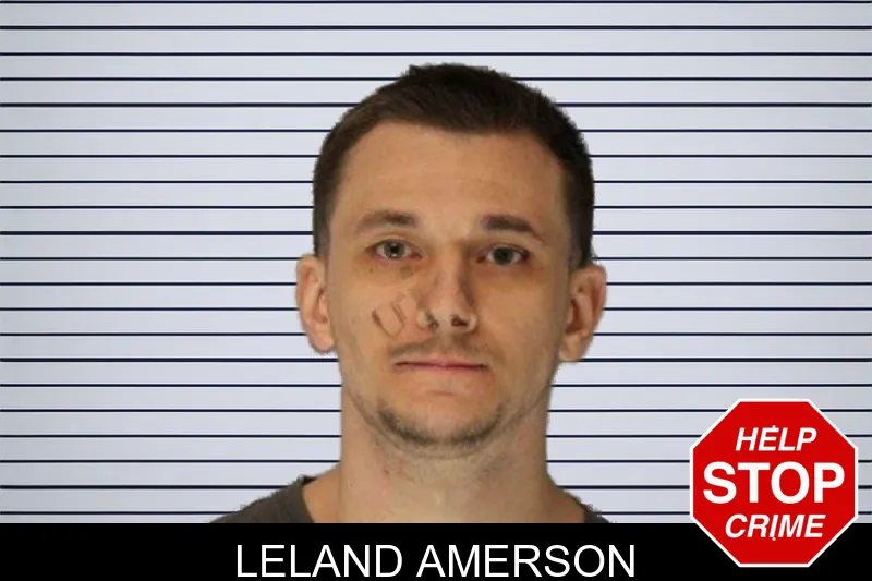 Leland Amerson mugshot