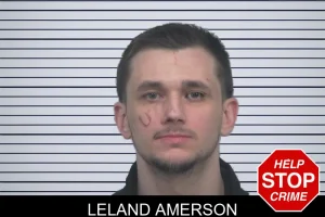 Leland Amerson mugshot