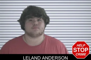 Leland Anderson mugshot
