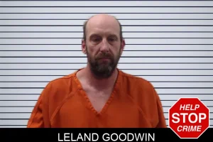 Leland Goodwin mugshot