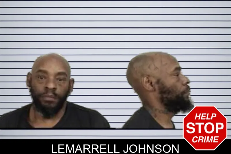 Lemarrell Johnson mugshot – Camden County , Georgia Lemarrell Johnson mugshot