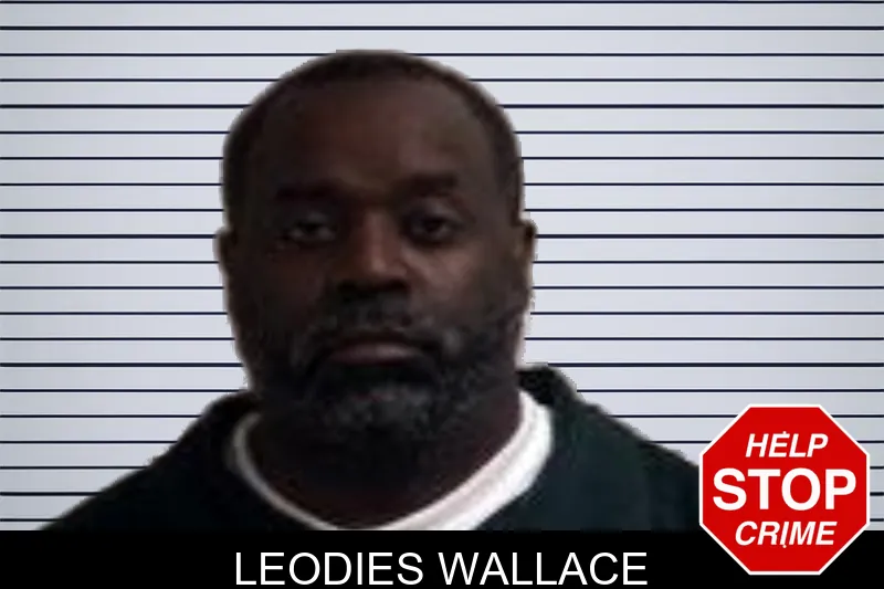 Leodies Wallace mugshot – Henry County , Georgia Leodies Wallace mugshot