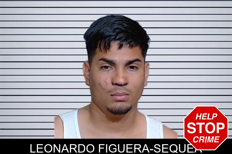 Leonardo Figuera-Sequea mugshot