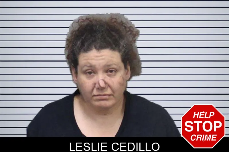 Leslie Cedillo mugshot