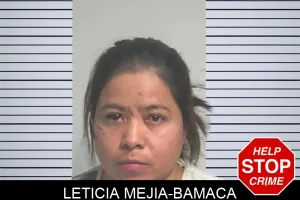 Leticia Mejia-Bamaca mugshot
