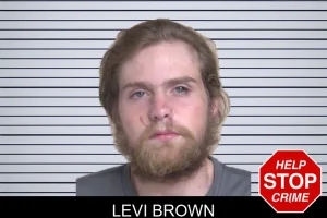 Levi Brown mugshot