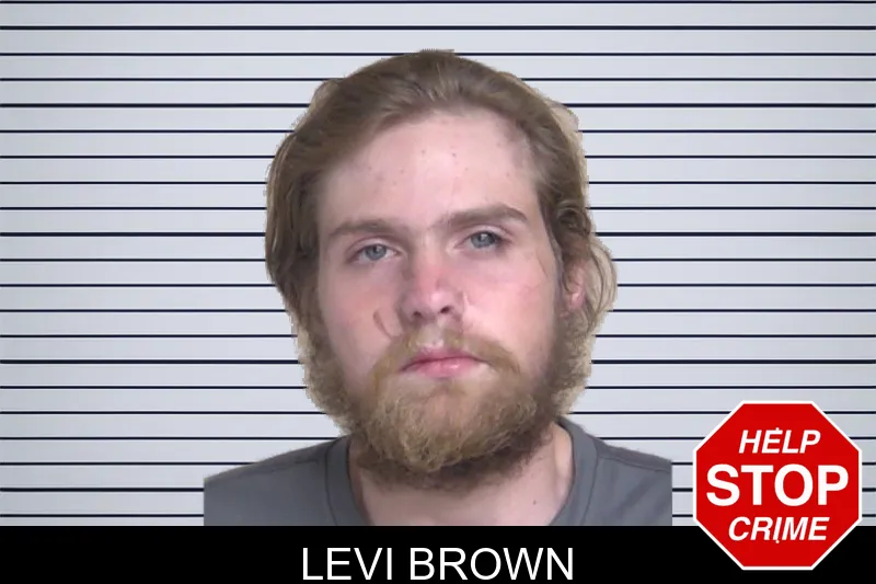 Levi Brown mugshot – Walker County , Georgia Levi Brown mugshot