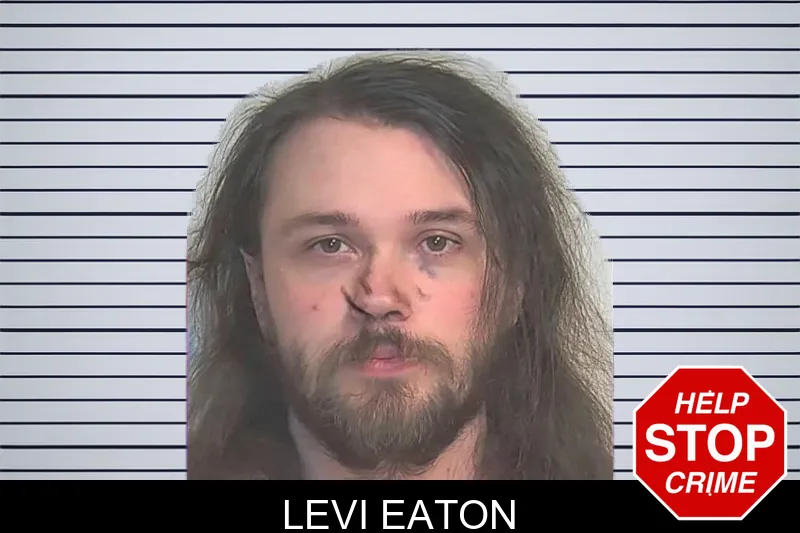 Levi Eaton mugshot