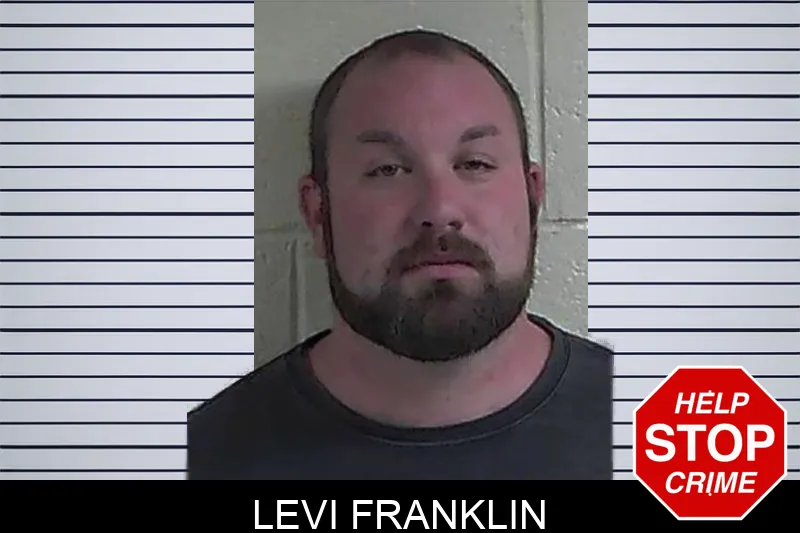 Levi Franklin mugshot – Fannin County , Georgia Levi Franklin mugshot