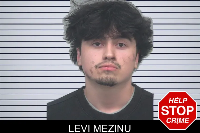 Levi Mezinu mugshot
