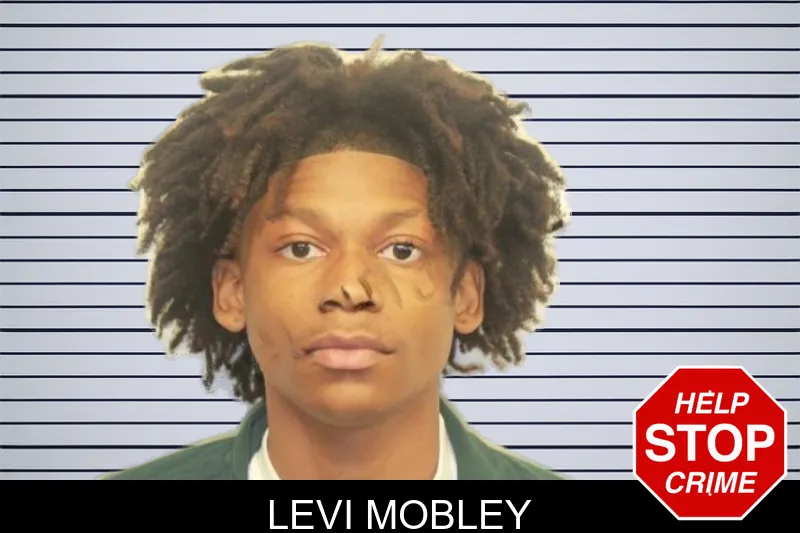 Levi Mobley mugshot