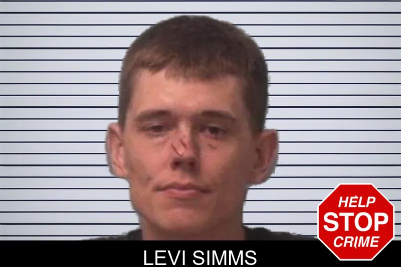 Levi Simms mugshot