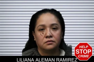 Liliana Aleman Ramirez mugshot