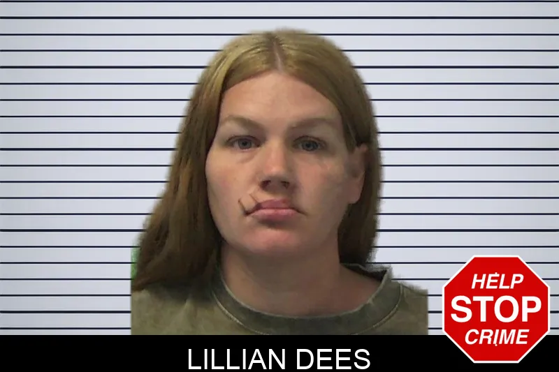 Lillian Dees mugshot