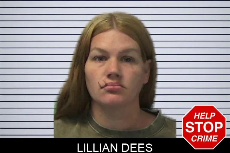 Lillian Dees mugshot – Ware County , Georgia Lillian Dees