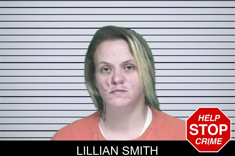 Lillian Smith mugshot – Appling County , Georgia Lillian Smith mugshot