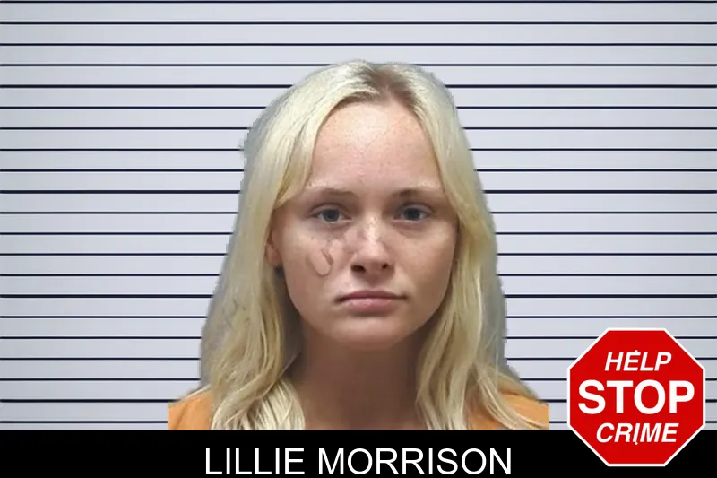 Lillie Morrison mugshot