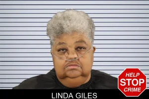 Linda Giles mugshot
