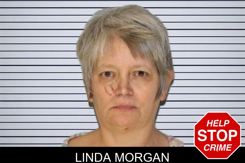 Linda Morgan mugshot – Hall County , Georgia Linda Morgan mugshot