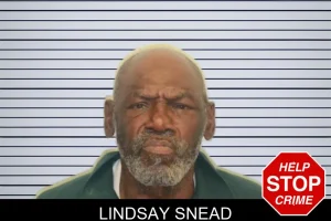Lindsay Snead mugshot