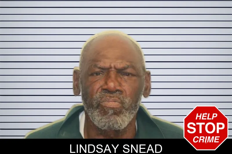 Lindsay Snead mugshot