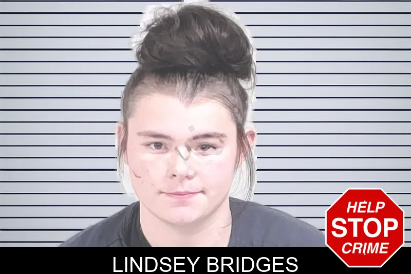 Lindsey Bridges mugshot