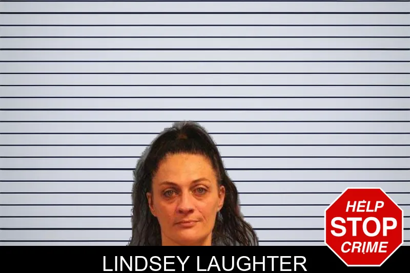 Lindsey Laughter mugshot