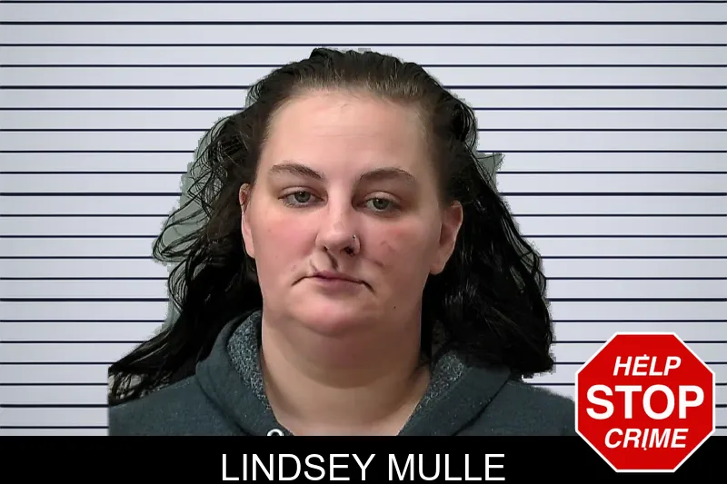 Lindsey Mulle mugshot – Towns County , Georgia Lindsey Mulle mugshot