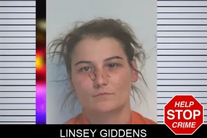 Linsey Giddens mugshot
