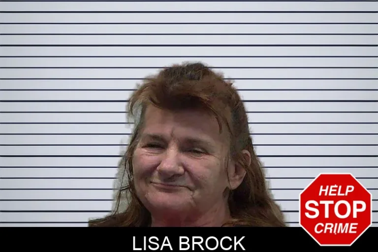 Lisa Brock mugshot – Gilmer County , Georgia Lisa Brock