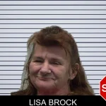 Lisa Brock mugshot
