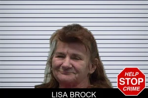 Lisa Brock mugshot
