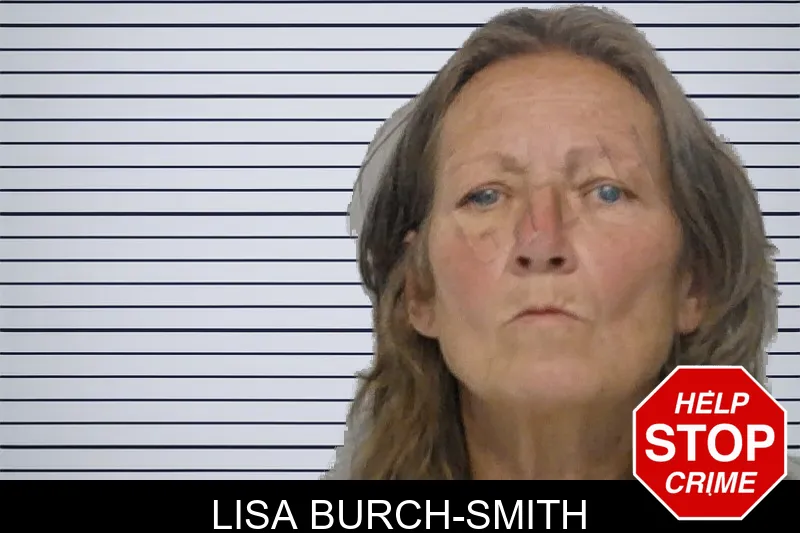 Lisa Burch-Smith mugshot