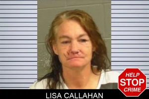 Lisa Callahan mugshot