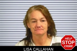 Lisa Callahan mugshot