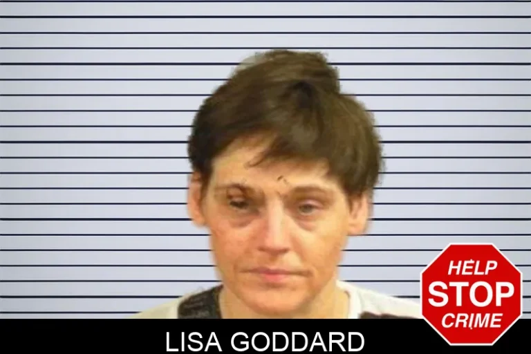 Lisa Goddard