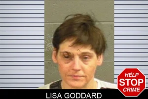Lisa Goddard mugshot