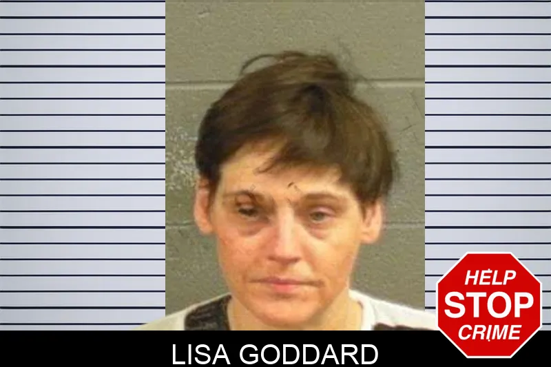 Lisa Goddard mugshot