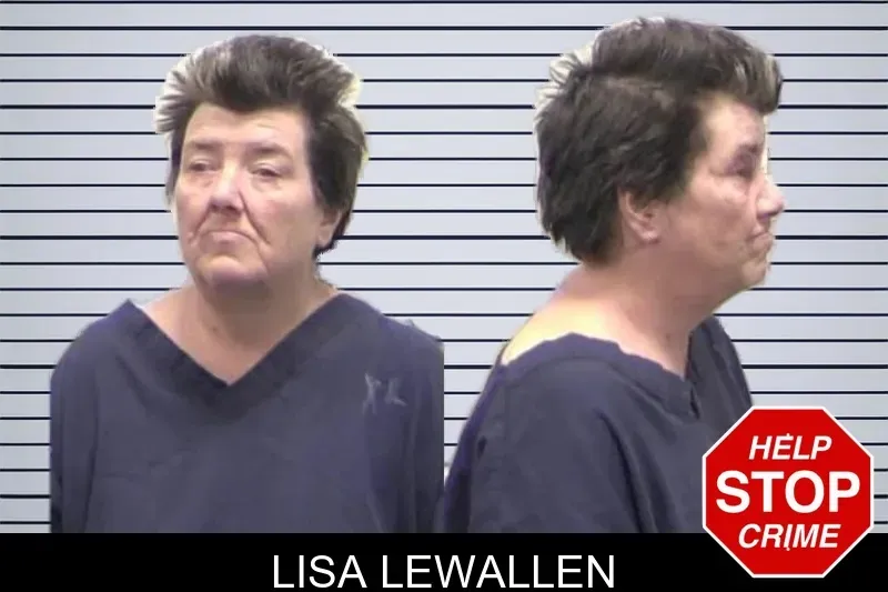Lisa Lewallen mugshot