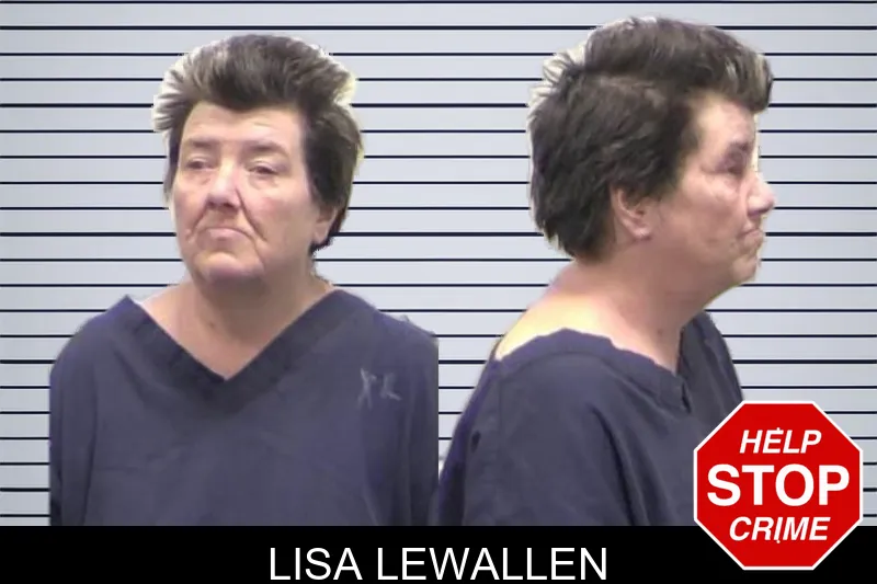 Lisa Lewallen mugshot