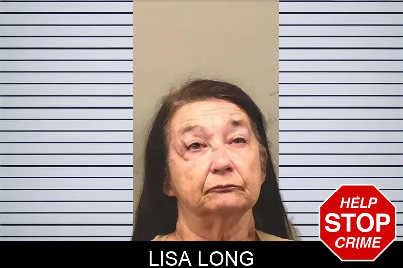 Lisa Long mugshot