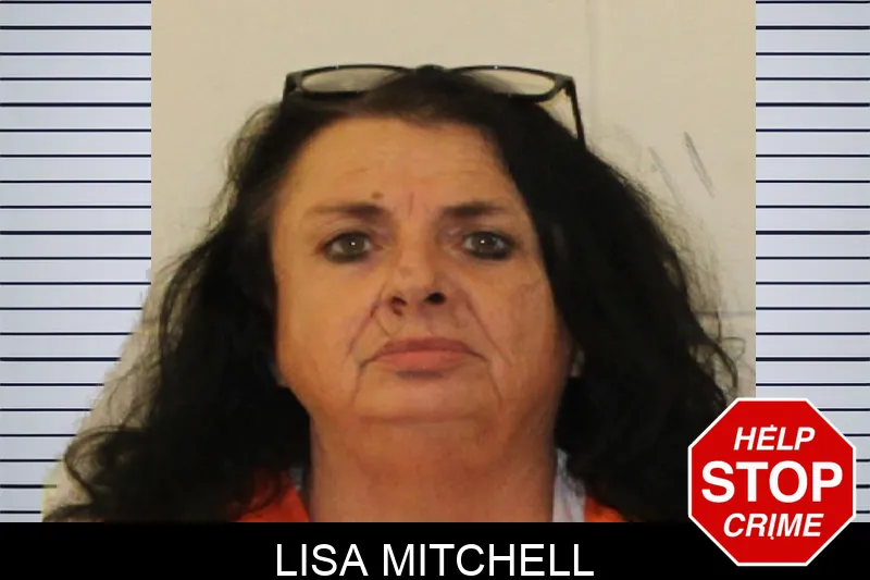 Lisa Mitchell mugshot