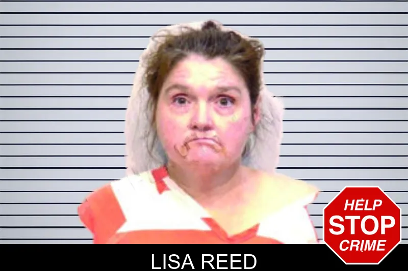 Lisa Reed mugshot